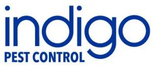 indigo-pest-control-best-pest-control-service-company-in-london