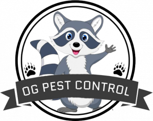 og-pest-control-top-pest-control-service-company-in-london