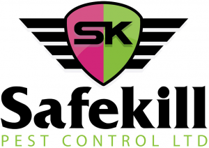 safe-kill-pest-control-best-pest-control-service-company-in-london