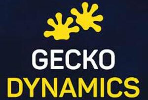 gecko-dynamics.