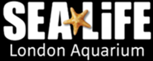 sea-life-london-aquarium-best-london-e-gift-voucher