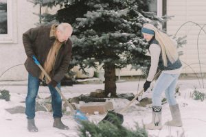 Why-Winter-Garden-Maintenance-Matters