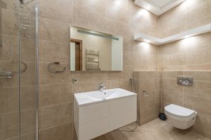 dual-flush-toilets-to-renovate-a-bathroom